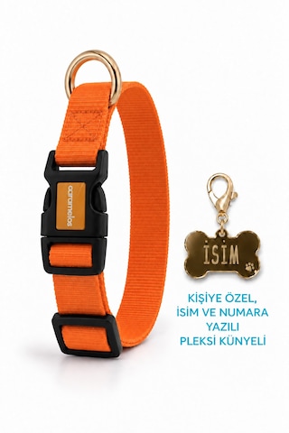 Caramelos İsimli Köpek Tasması, Ayarlanabilir Yavru, Mini, Orta Ve Büyük Irk Köpek Tasması, Turuncu
