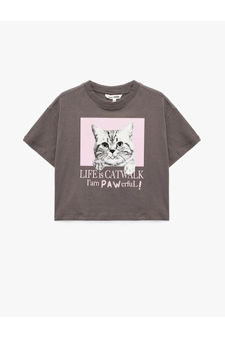 Koton Kedi Baskılı Antrasit Kız Çocuk T-shirt 6skg10105ak Antrasit