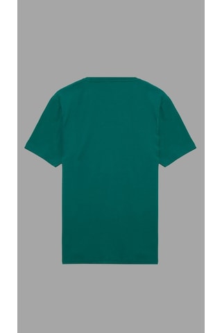 Shooter Sportwear Shooter Erkek Basic Tişört Pamuklu Regular Fit Bisiklet Yaka Günlük Düz T-shirt Yeşil