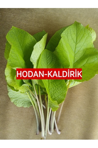 250 gram  Kaldirik - Hodan - Ispıt Otu