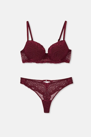 Eros 1210 Salvia Boş Cup Sütyen Külot Takım Bordo V3