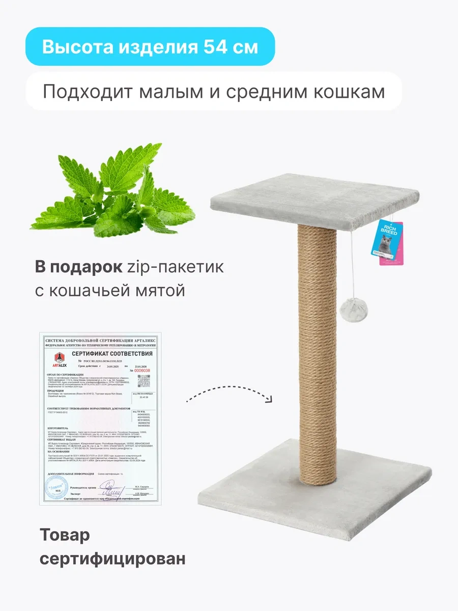 Rıch Breed Kedi Tırmalama Direği Masası Zeminli Dinlenme Yatağı 37112785