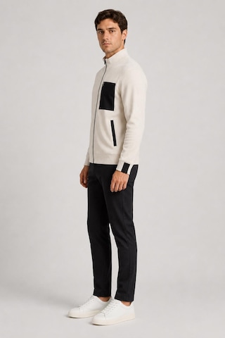 Alexandergardi Cep Detaylı Fermuarlı Dik Yaka Sweatshirt Taş