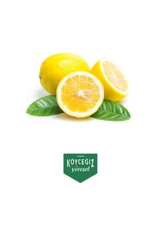 Kb Köyceğiz Yöresel Köyceğiz Limonu 1 KG