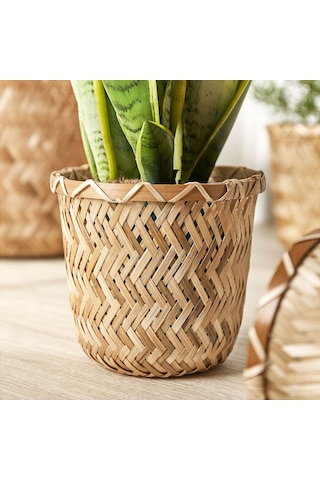 Bambu Saksı, Bambu, 12 Cm 3 Adet