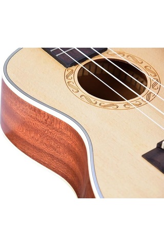 Tayste Tuk210-24 Concert Ukulele