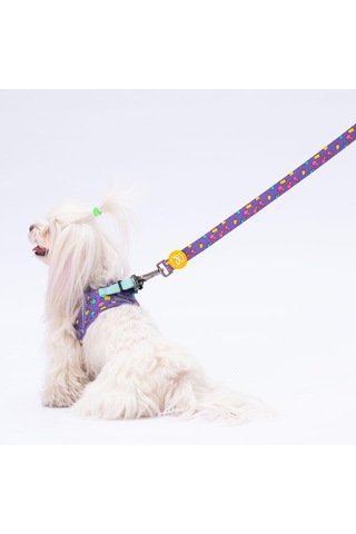 Pawstar Ice Cream Leash Kedi Köpek Sevk & Gezdirme Kayışı Köpek Uzatma Tasması Mor