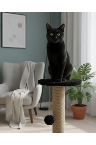 Reyo Pet Stepli Kedi Tırmalama Tahtası Siyah