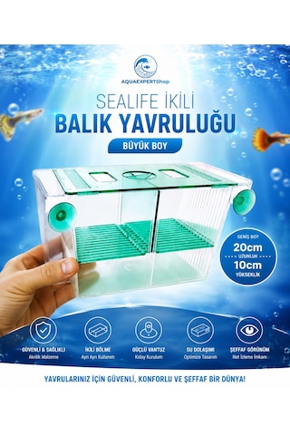 Akvaryum İkili Balık Yavruluğu Büyük Boy 20x10 Cm Turkuaz Güvenli Çift Bölmeli Tasarım