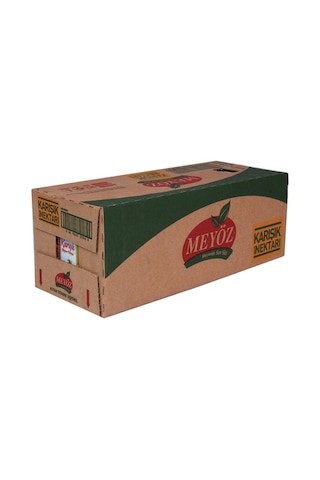 Meyöz Karışık Meyve Nektarı 27 x 200 ML