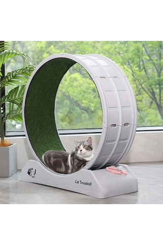 Kedi Egzersiz Çarkı Sessiz Dayanıklı Koşu Bandı, Kedi Tekerleği Ve Küçük Köpek Fitness Çarkı