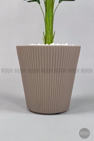 Yapay Areka Ağacı 160-180 Cm Ss