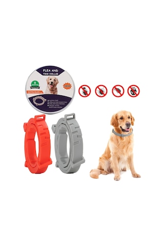 Pire Ve Kene Yaka Köpekler İçin Alüminyum Kasa İle Kediler, Boyut: 72cm Turuncu Çok Renkli