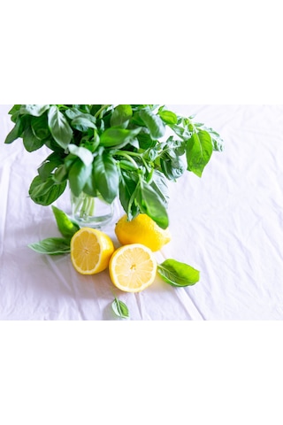 Limon Fesleğen Tohumu 100 Adet