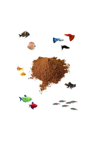 Yavru Balık Büyütme Yemi, Protein, Spirulina Artemialı 250 Gram