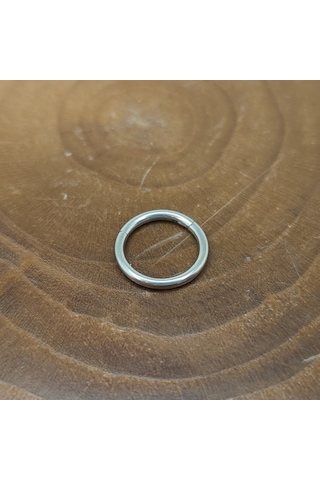 Aya Tasarım Gümüş Renk Menteşeli Helix/kıkırdak Piercing Gümüş
