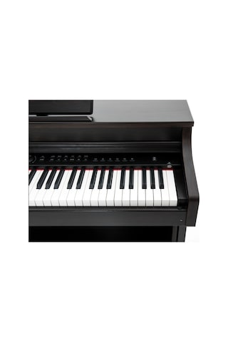 Capella Cp350 Rosewood Dijital Piyano