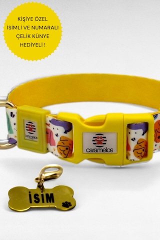 Caramelos Köpek Tasma Seti Kişiye Özel İsimli Tasma Seti Sr