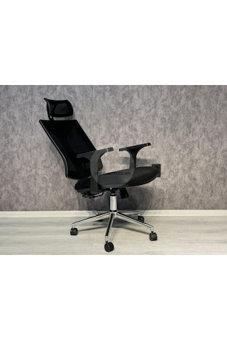 Leon Fileli Yönetici Koltuğu