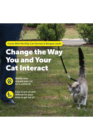 Petsafe Come With Me Kitty Koşum Takımı Ve Bungee Tasma, Kediler İçin Koşum, Büyük, Tozlu Gül/bordo