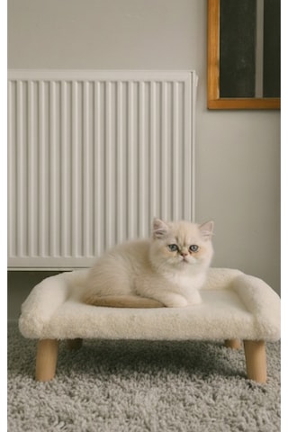 Kedi Evi Ürün Ebatları 45x45 Cmdir.