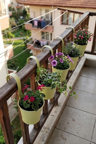 5'li Askılı Çok Amaçlı Dekoratif Galvaniz Saksı Kova Açık Yeşil