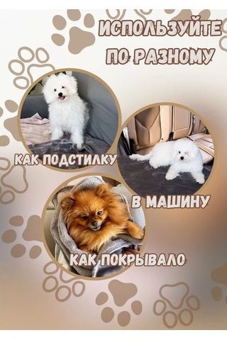 Mur Küçük Ve Orta Boy Köpekler Ve Kediler İçin Battaniye 60 40cm 176363138