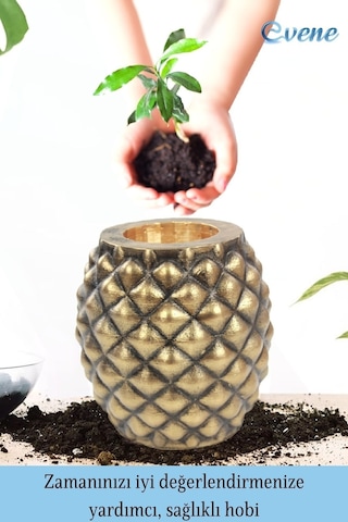 Ahşap Ayaklı Beton Saksı Büyük Boy 1 Adet Ananas Model - Altın Eskitme