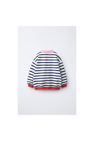 Poala Kids Çizgili Polo Yaka Sweatshirt Çok Renkli