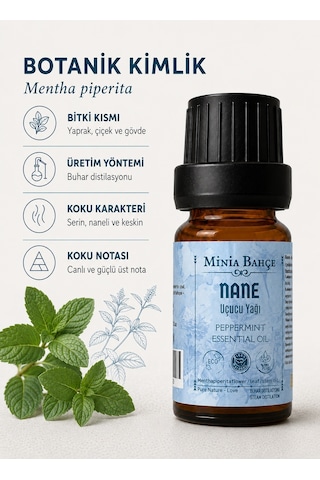 Minia Bahçe Bitki Ve Sanat Atölyesi Nane Uçucu Yağı Saf ve Katkısız Bitkisel Uçucu Yağ 10 ML