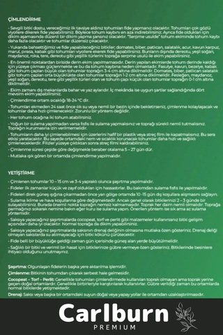 12 Ay Ekim Yapılabilen 3.000 Tohum Ayrı Ayrı Paketli 10 Çeşit Yeşillik Sürdürülebilir Tohum Paketi