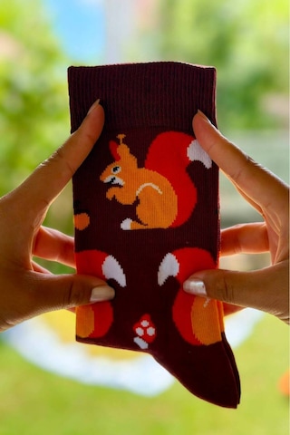 Lousocks Unisex Sincap Desenli Renkli Soket Çorap Bordo
