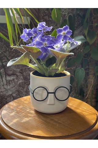 Saburg Çiçek Saksısı 0,65 Litre Saksı Seti 2 Adet Otomatik Sulama Saksı 138199335