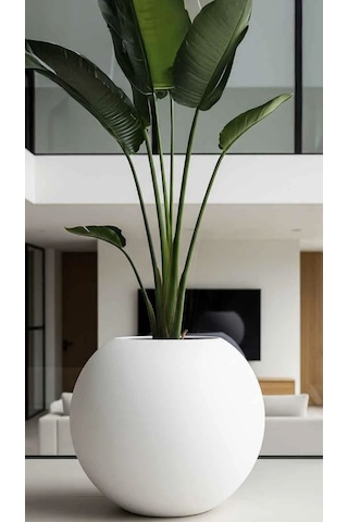 Fiber Küre Saksı Beyaz Çap 50 Cm Yükseklik 40 Cm