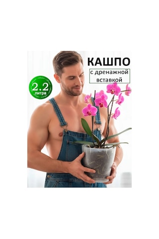 Al' Ternatıva Leia Orkide Saksısı 2,2 L, Drenajlı 13195594