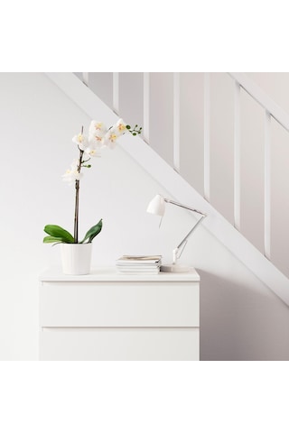 Yapay Saksılı Beyaz Orkide, Meridyendukkan 12 Cm Ev-bahçe Dekorasyonu
