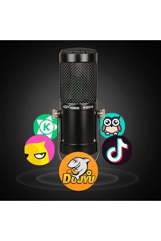 Aq210 Condenser Stüdyo Profesyonel Kayıt ve Yayın Mikrofonu Studio Siyah
