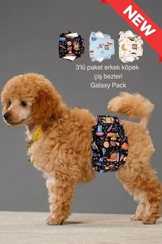 Erkek Köpek Çiş Bezleri, 3'lü Avantajlı Paket, 1 Paket 3 Farklı Desen Space, Small