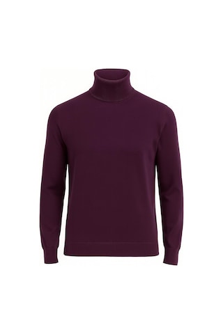 Huffa Erkek Slim Fit Boğazlı Erkek Triko-7430 Mor