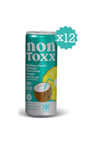Nontoxx Hindistan Cevizi & Ananas Aromalı, Sirkeli, Gazlı İçecek 250 Ml