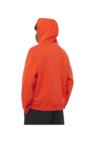 Salomon Worthy Hoodıe M Nnj0 Çok Renkli