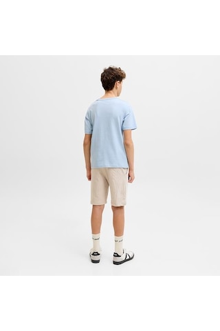 Jack&jones Jack Jones Çocuk Şort Gordon Archive Sweat Shorts Mid Çok Renkli