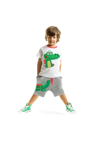 Denokids Timsah Baggy Şort Takım Çok Renkli