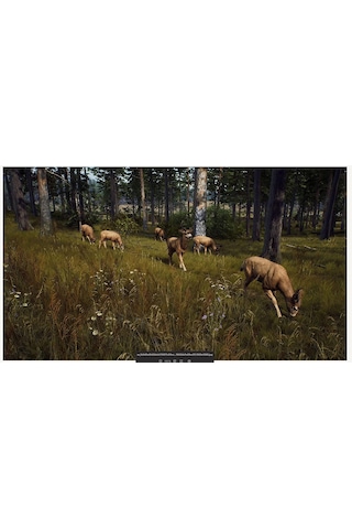 THQ Nordic Way Of The Hunter PS5