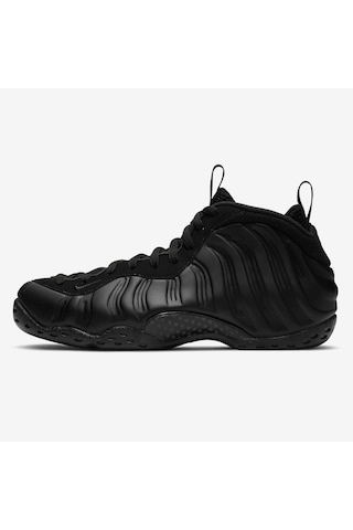 Jordan Nike Air Foamposite One "anthracite" Fd5855-001 Çok Renkli