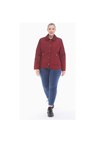 Vetre Bb Bordo Mevsimlik Kapitone Mont 1039 Bordo
