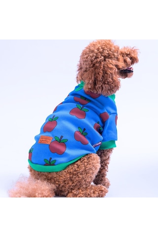 Apple Kaşkorse Elma Desenli Sweat Kedi Köpek Sweat Kedi Köpek Kıyafeti