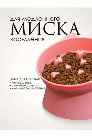 Vektorı Kedi Kabı 391740899