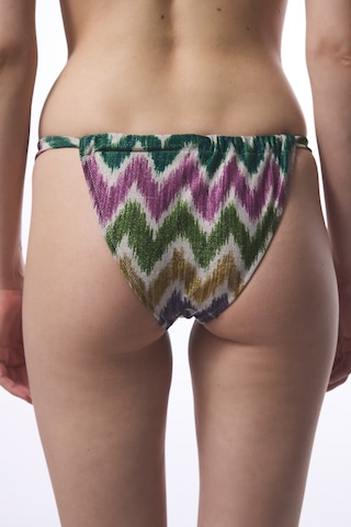 Penti Celine Super Çok Renkli Bikini Altı