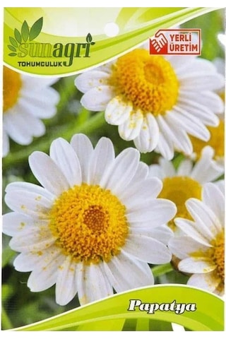 Sunagri Papatya Çiçeği Tohumu